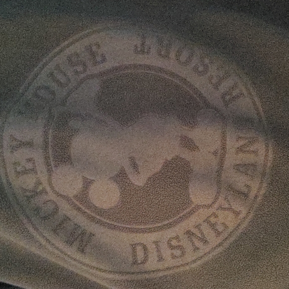 Disneyland Resort 1/4 zip Jacket - Picture 4 of 5